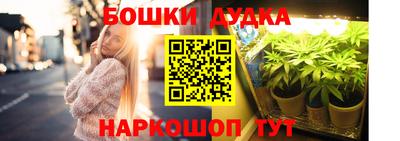 стафф Будённовск