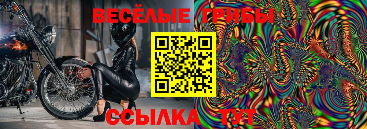 Киреевск  Галлюциногенные грибы Psilocybine cubensis  Вход с VPN 